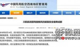 飞机内部爆料视频大全集