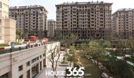 华地紫园最新爆料新闻